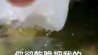 [Sichuan dialect version] Jellyfish meme