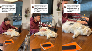 宝宝，你是个鼠标垫