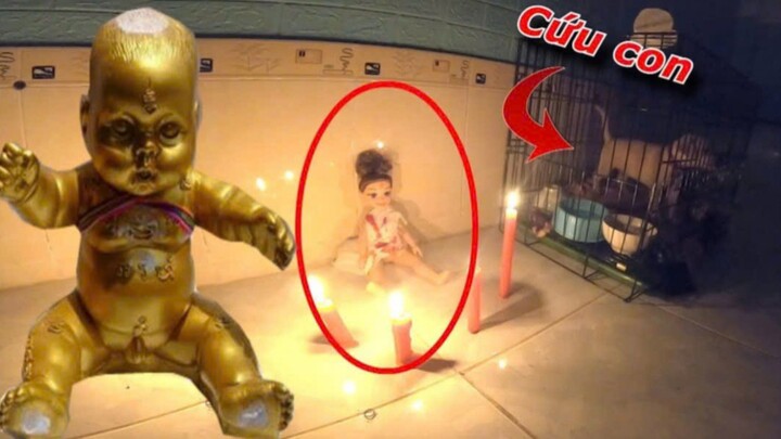 REN = Đặt Camera Theo Dõi KumanThong Và Cái Kết Kinh Hoàng