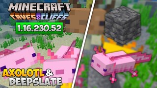 UPDATE! MCPE BETA VERSI TERBARU 1.16.230.52 - AXOLOTL & DEEPSLATE