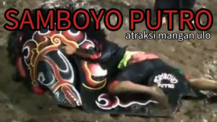 Kesenian jaranan SAMBOYO PUTRO |makan kepiting