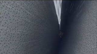 NARUTO SHIPPUDEN SHORTS