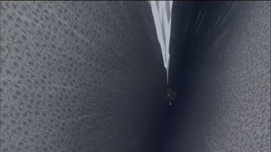 NARUTO SHIPPUDEN SHORTS