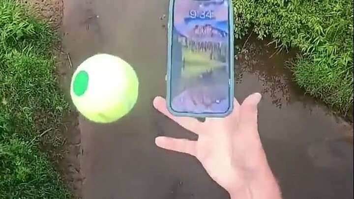 "Kawan Hidup Tanpa Rasa Takut"