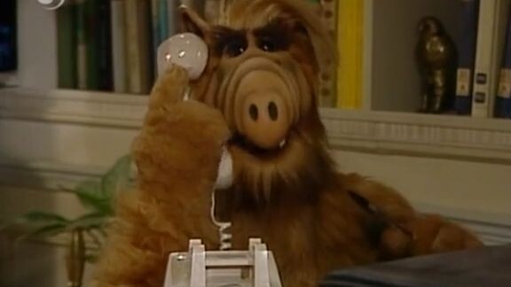 alf.--apostador.-