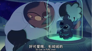 谁会拒绝毛茸茸的史迪奇呢.