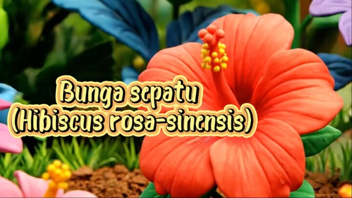 Bunga sepatu (Hibiscus rosa-sinensis) 🌺 🌿✨