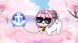 [New Dog V Self-introduction] I wonder if Mina-san from Station B likes puppies? Daisiki!