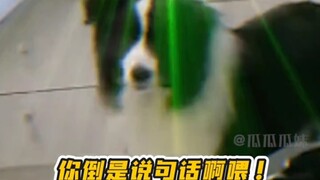 It's making the dog so anxious it's just one step away from talking! #dog