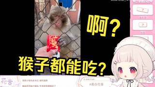 日本萝莉看《猴生最爽的事莫过于吃魔芋爽了》直接傻眼