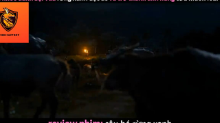 REVIEW PHIM : Cậu bé rừng xanh (p2) #rvphimcuocsong