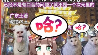 【Ya Jiang/Cooked Meat】Have you learned Chinese? I have failed. 【Cat meme】