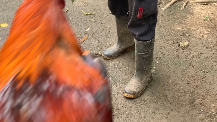 Bruce Barnette Sweater of 810 Sisiw Academy (right side)