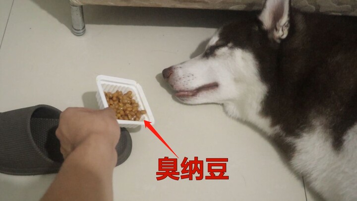 What happens when you place a box of stinky natto by Erha’s mouth while he’s asleep?