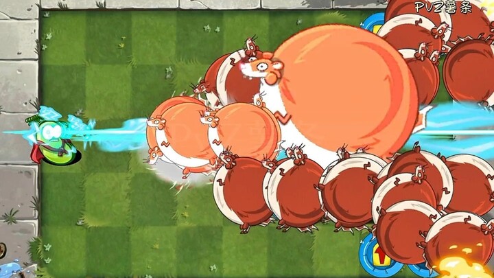 50 tanaman berbagai level vs 101 zombie musang gemuk'.