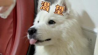 Yes! Sprite doesn't drink Sprite!