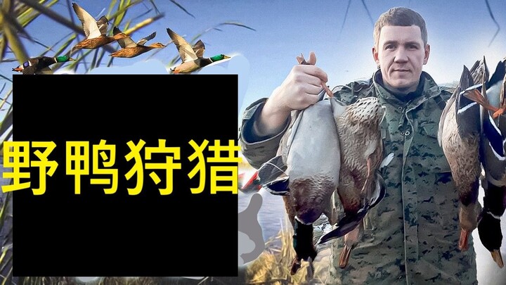 Inside the Fog: The Art of Wild Duck Hunting / 迷雾猎踪：沉浸式秋季打鸭子全纪录