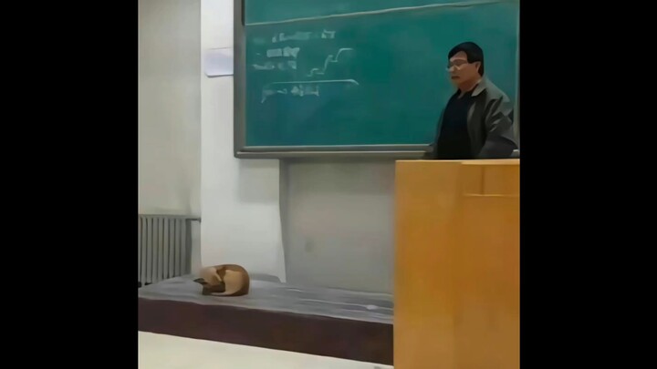 “I thought you were different from them”