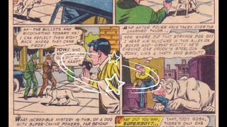 HEY BUDDY , LOOK AT ME _ EYES UP HERE ! It's A Bird? NO ! This Is Wolf ? No Way ! That's KRYPTO DOG.