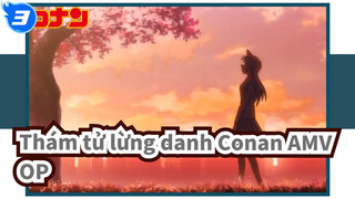 [Thám tử lừng danh Conan AMV] OP Tổng hợp_3