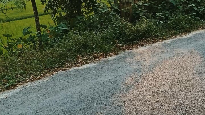 বাজার