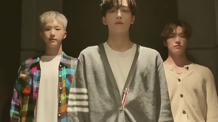 [Kwon Soonyoung, Yoon Jeonghan, Lee Chan] Ba em bé dễ thương~
