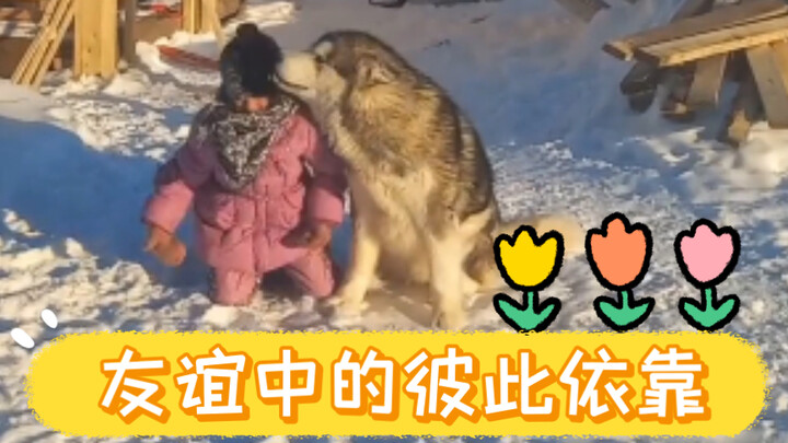 Relying on Each Other in Friendship