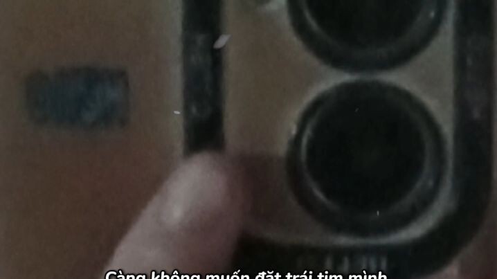 không yêu ai hết