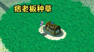 蟹老板：“你种了草”，痞老板：“草~”