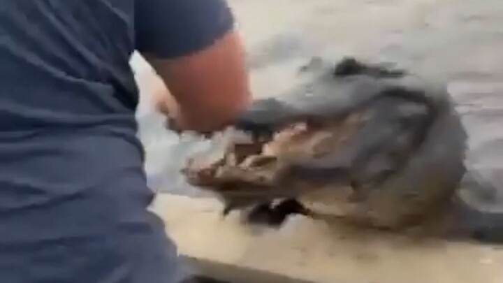 Dengan tak sengaja melunakkan seluruh dunia