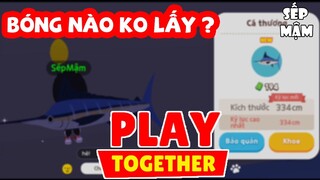 PLAY TOGETHER | Địa Điểm Câu Cá Nhiều Tiền Nhất P1 | Cách Câu Cá Khu Vực Biển Sâu