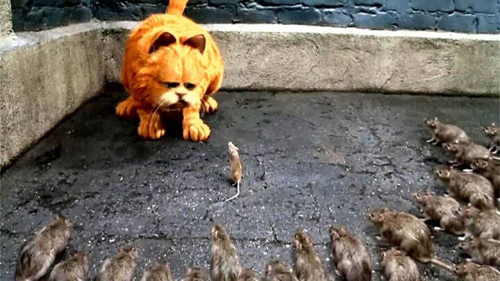 Movie: A cat kindly let a mouse go, and unexpectedly, the mouse came back to repay the favor, saving