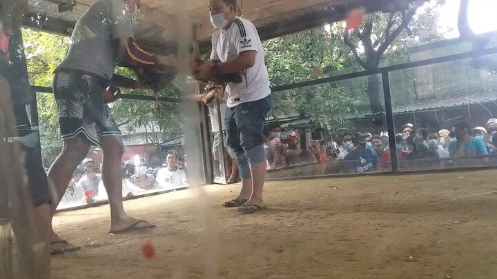 Gold win👌💪🙌