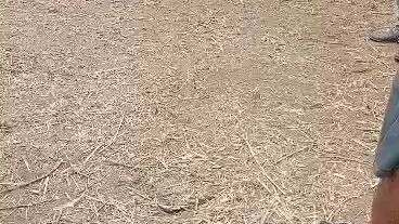 1st fight ng ating tinola line