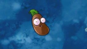 Fusion Plant 581: Coffee Beans!
