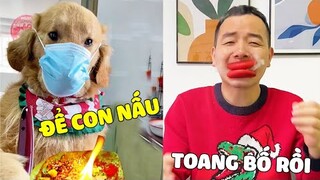 Tứ Mao | Tứ Mao Trổ Tài Nấu Món Siêu Cay Khổng Lồ Cho Bố Và Cái Kết Thì Ối Dồi Ôi 🤣 Gâu Đần Official