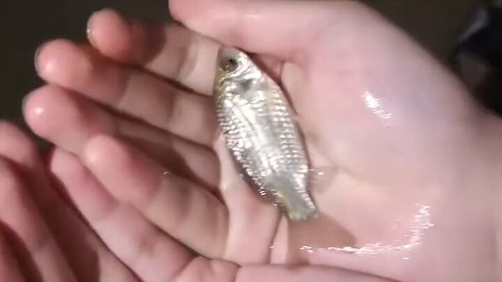 Trường các bạn trang bị đỉnh quá, còn có ký túc xá view biển nữa à?