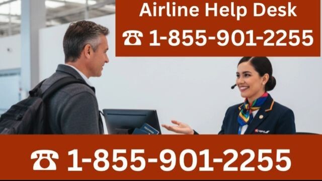 61 Ways To Contact JetBlue Customer Service By Phone, Chat and Email Options: An Easy Guide