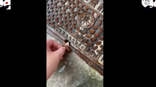 meme Khả năng có hạn thủ đoạn thì....