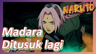 Madara Ditusuk lagi