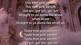 pink venom lyrics !!