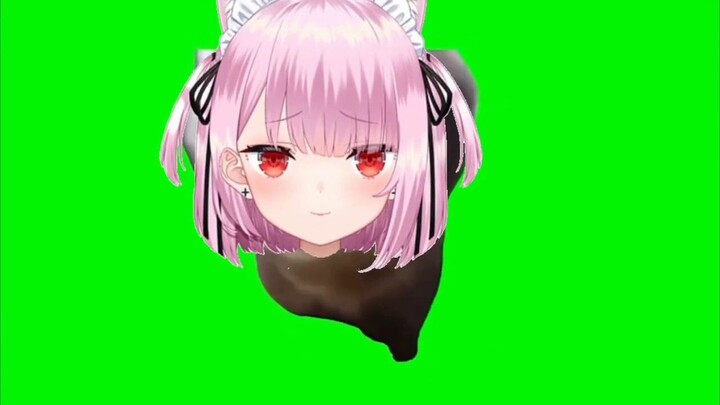 [Cooked Meat] High-quality みけねこmeme material GB collection | Cat meme