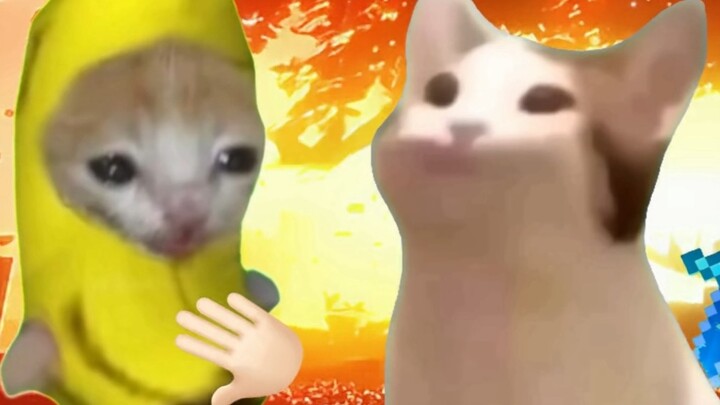 Tôi chỉ là một kẻ vô dụng.