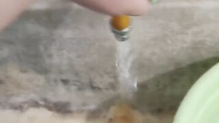 Đầu rồng:？？？