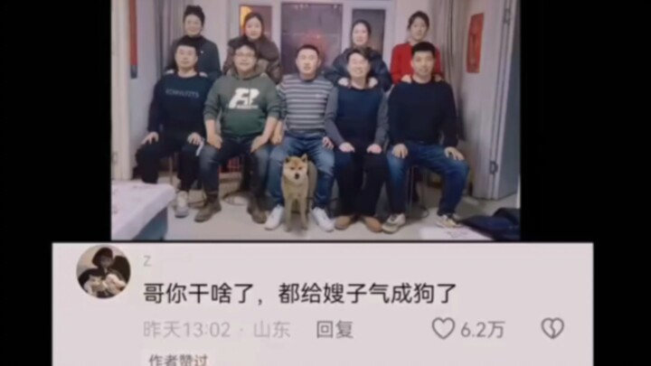 Anjing: Aku tidak bersalah! Hei, kamu denger nggak?