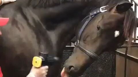 Practice has proven: a fascia gun can cause horse-tongue syndrome!