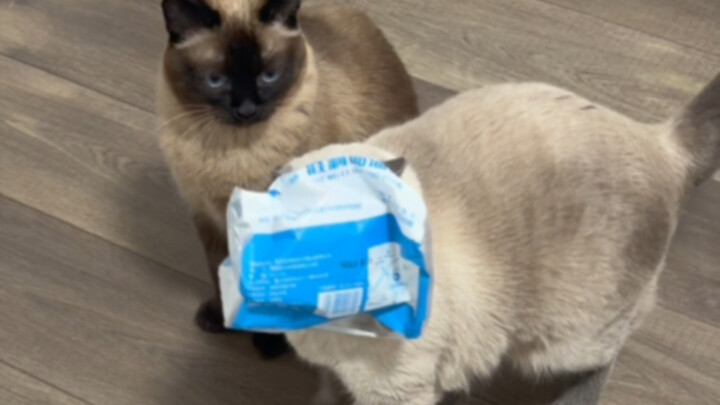 Medication-Controlled Mother and Daughter