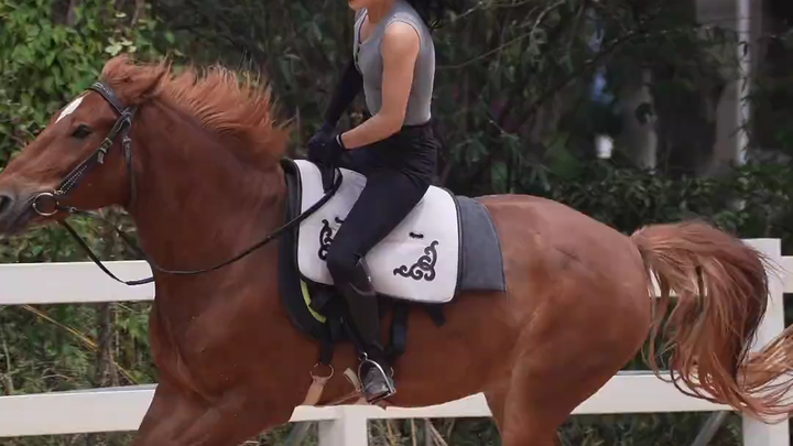 Flying Without Wings