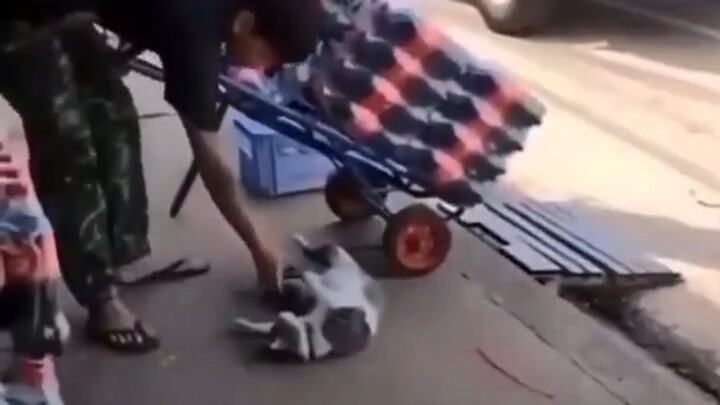 Become a Gentle Person