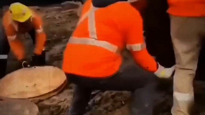 Tôi chỉ xem một lần và đã ngạc nhiên hàng tỷ lần!